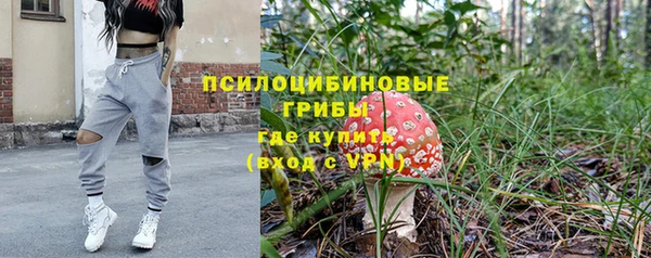 ГАЛЛЮЦИНОГЕННЫЕ ГРИБЫ Алзамай