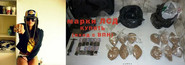 ГАЛЛЮЦИНОГЕННЫЕ ГРИБЫ Алзамай