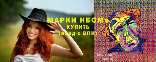 ГАЛЛЮЦИНОГЕННЫЕ ГРИБЫ Алзамай