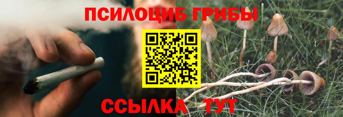 Алексеевка  Псилоцибиновые грибы Psilocybine cubensis  Галлюциногенные грибы Magic Shrooms  Вход с VPN 