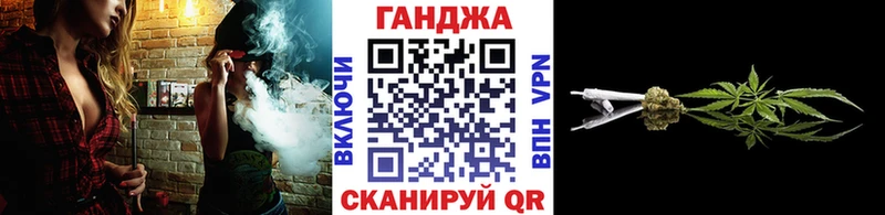 Конопля планчик Алексеевка